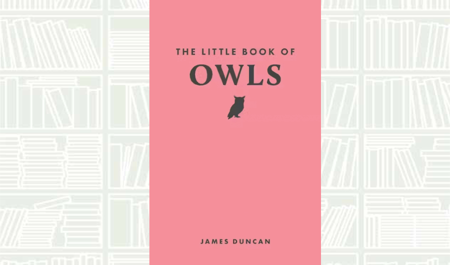 What We Are Reading Today: ‘The Little Book of Owls’