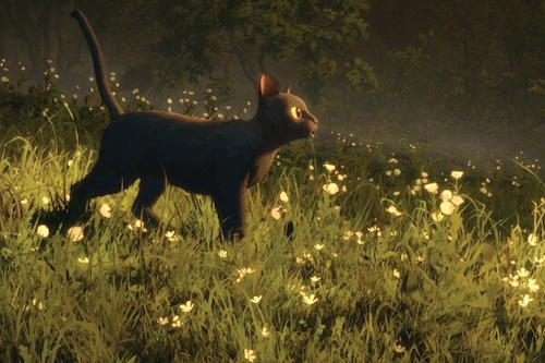 Cat day