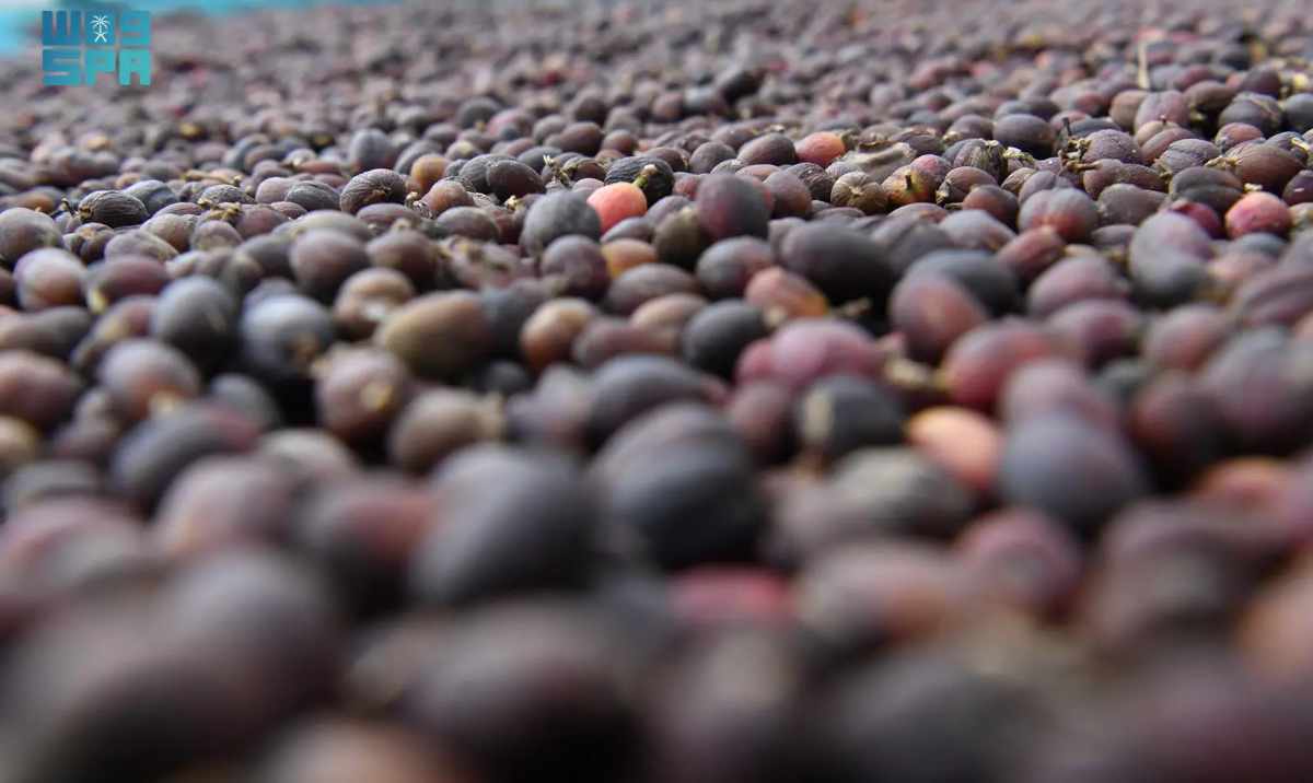 Why big coffee is betting billions on sustainability