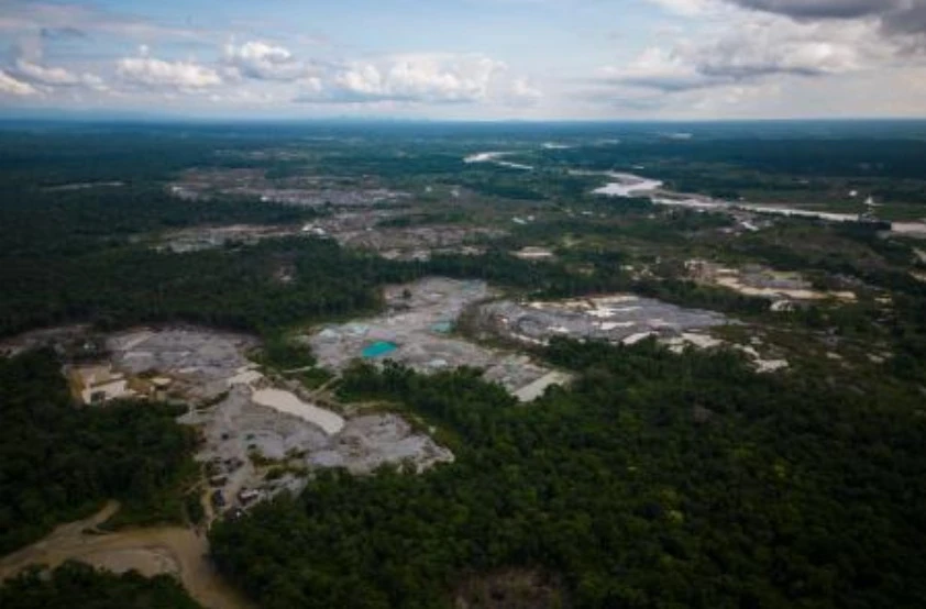Five Amazon countries arrest hundreds in major crackdown on environmental crime