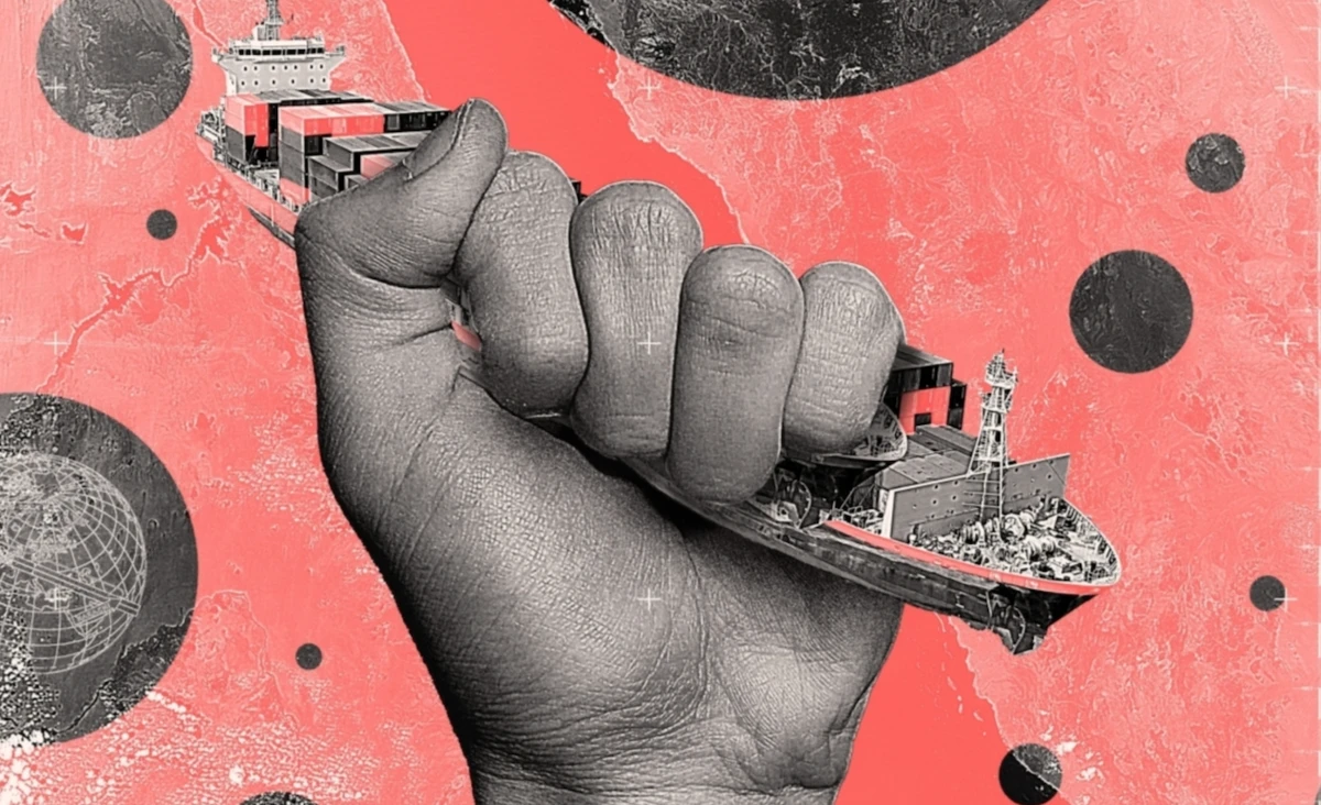 Red Sea defence alliance: opportunities and challenges