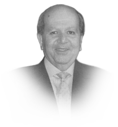 Dr. Mohamed Ramady