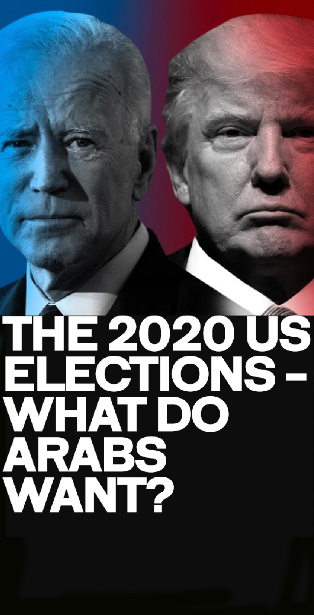 The 2020 US elections – What do Arabs want? — PDF cover