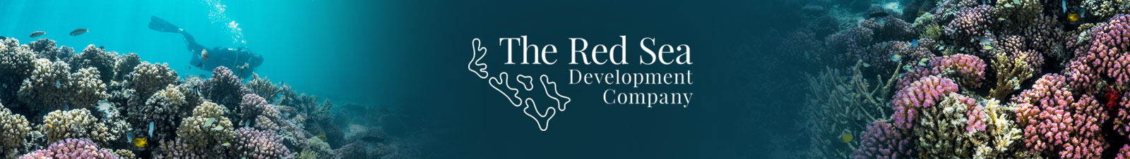 The Red Sea Development Company The Red Sea Development Company