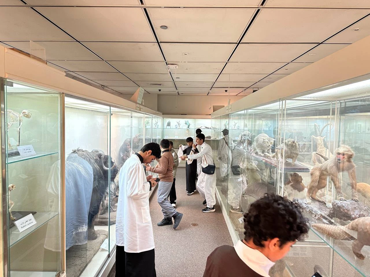 Students in the College of Science laboratories at King Saud University conduct research experiments.