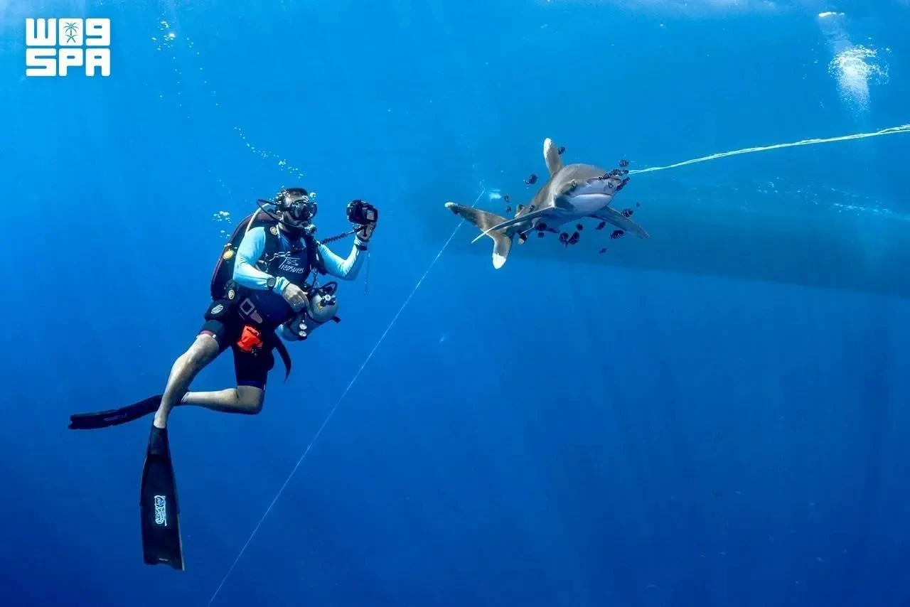 The Saudi Water Sports and Diving Federation has standardized professional licensing, surveyed more than 1,000 dive sites across 400 open-water destinations and accredited 68 shore-diving locations. (SPA)