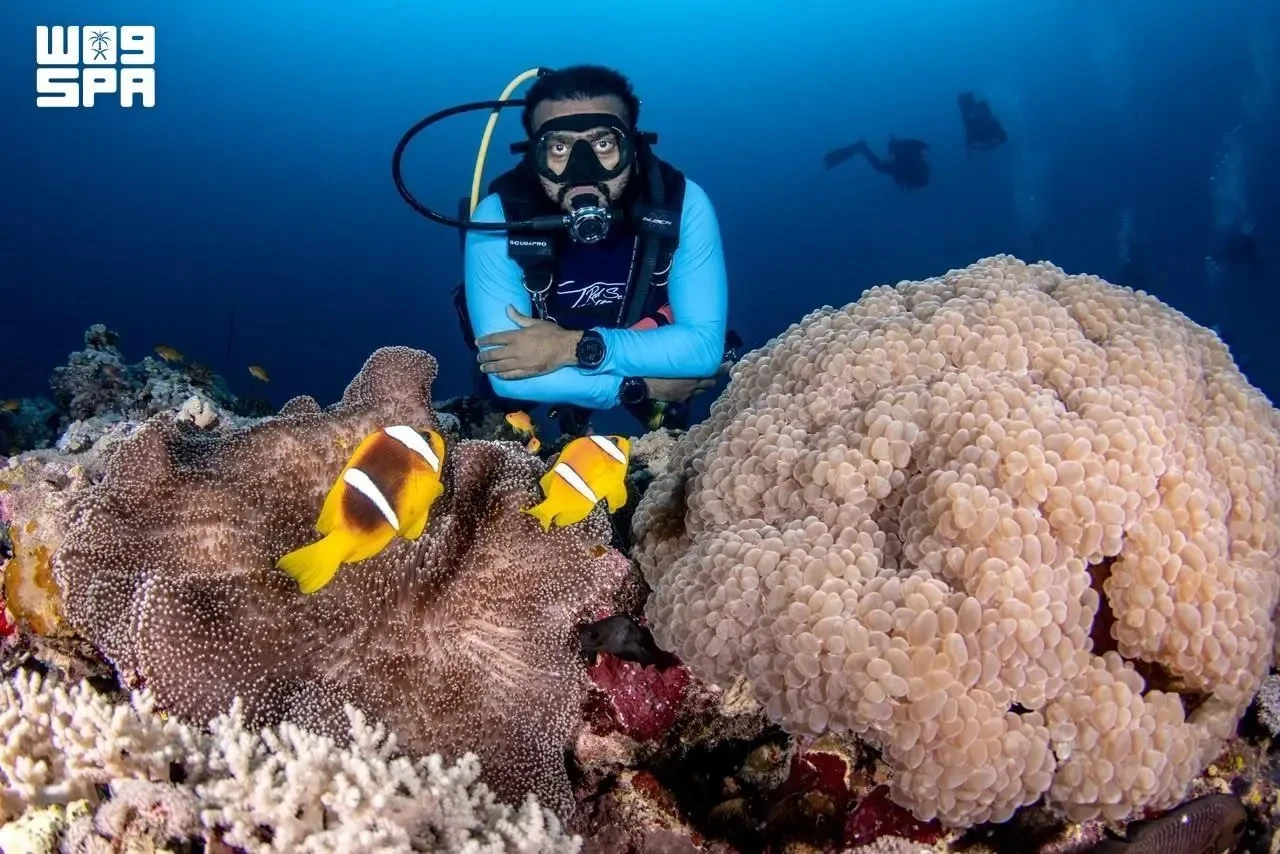 Rooted in centuries-old pearl-diving traditions in the Farasan Islands and Gulf ports, diving has evolved into a structured, high-value investment sector. (SPA)