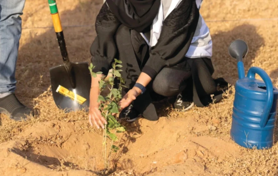 Kingdom launches National Greening Season to expand vegetation cover 