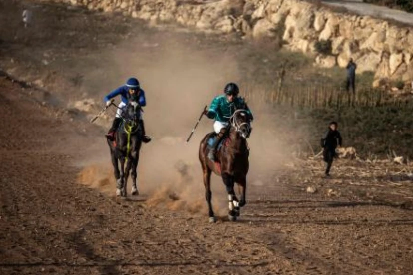 Jockey’s race horses during a local Palestinian horse race in Al-Majd, west of the Israeli-occupied West Bank city of Hebron on Sept. 18, 2026. (AFP)