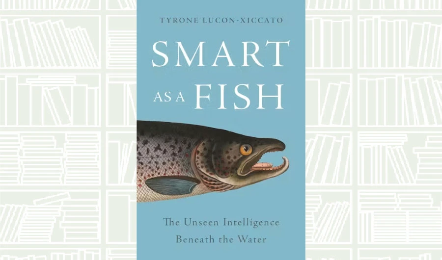 What We Are Reading Today: ‘Smart as a Fish’ by Tyrone Lucon-Xiccato