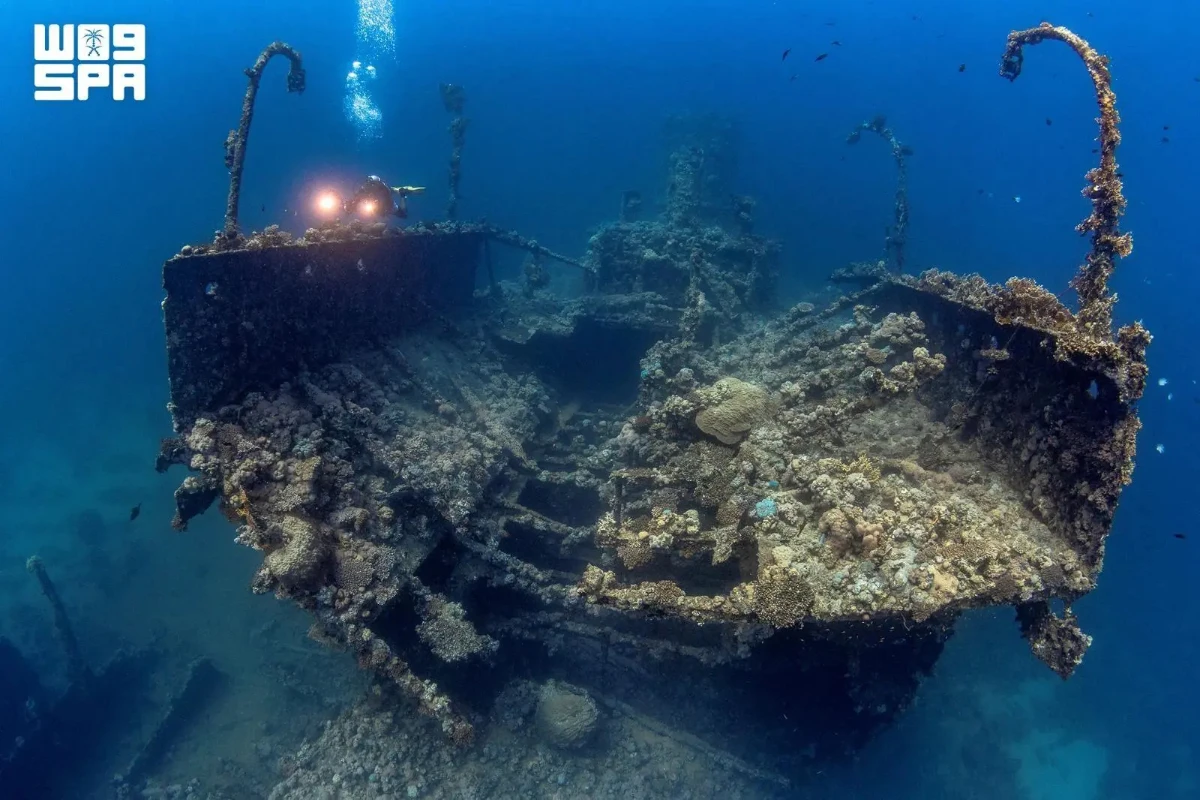 In the Arabian Gulf, calmer waters and historic shipwrecks around Jubail and Jana Island offer prime locations for wreck exploration, night diving and beginner training. (SPA)