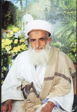 A portrait of Patriarch Pavle of Serbia, an elderly man with a long white beard, wearing a white turban and traditional white attire with a beige embroidered shawl, against a backdrop of green foliage and yellow and white flowers.