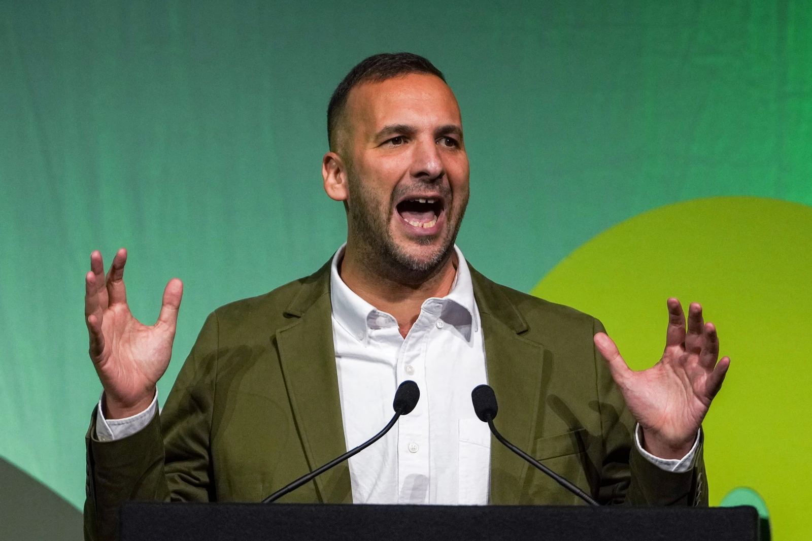 UK Greens leader Polanski loses by-election amid Zionism row
