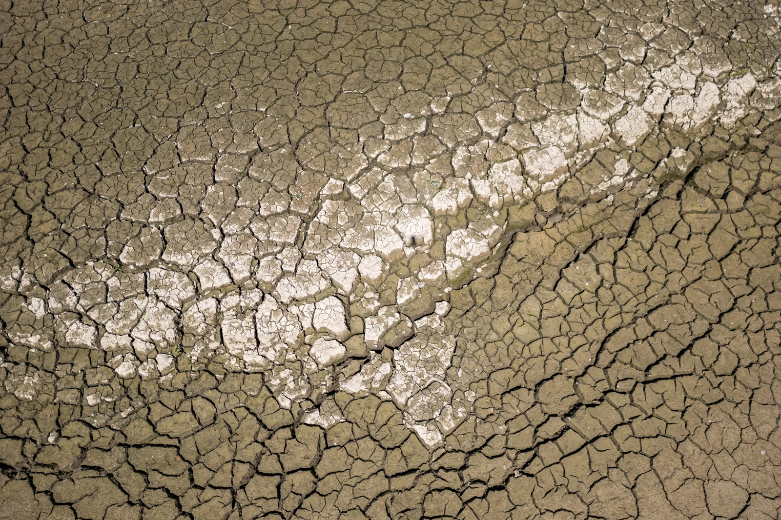 For decades, Europe has counted only what it produces, not what it possesses. Unless and until that changes, the slow death of the continent’s soil will continue (AFP)