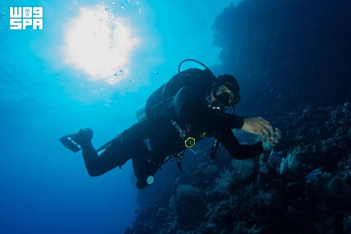 The Saudi Water Sports and Diving Federation has standardized professional licensing, surveyed more than 1,000 dive sites across 400 open-water destinations and accredited 68 shore-diving locations. (SPA)