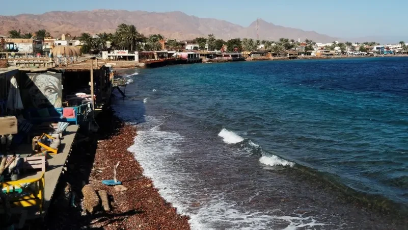 16 dead in bus crash in Egypt’s Sinai: health ministry