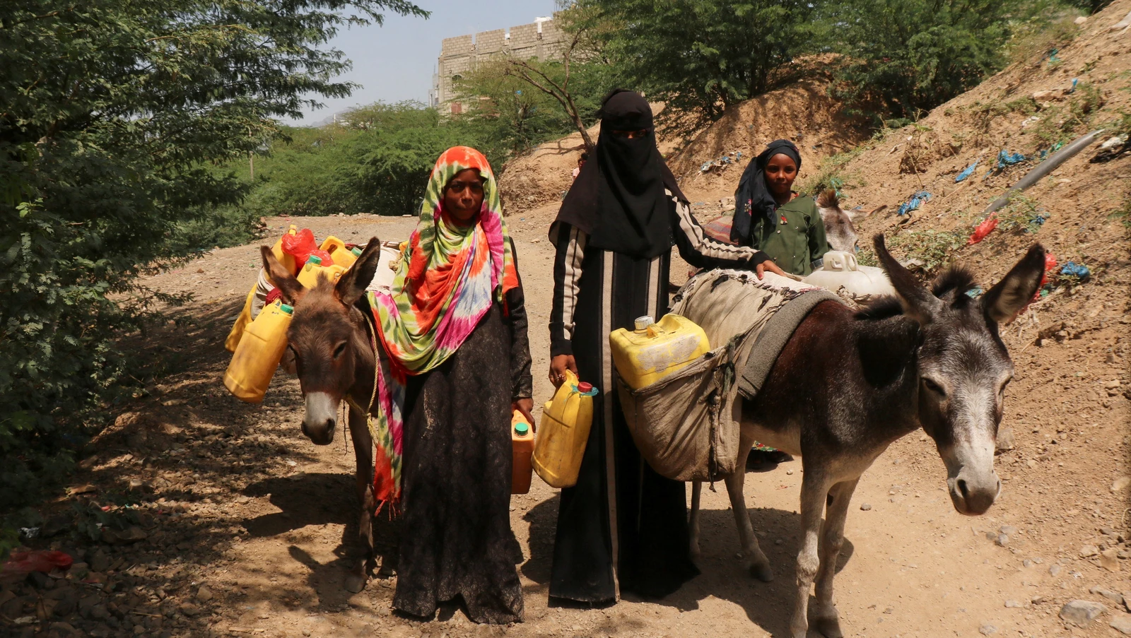 Women use donkeys to transport water jerrycans to the al-Bireen camp for displaced people who fled fighting between the Houthis and forces of Yemen's internationally recognized government in Taiz province, Yemen, September 17, 2026. REUTERS/Stringer
