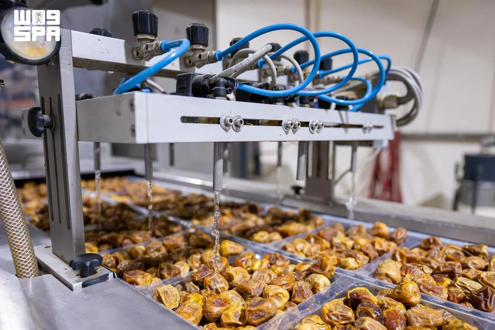 Saudi dates are now exported to more than 125 countries worldwide, reflecting growing demand and the sector’s continued growth.