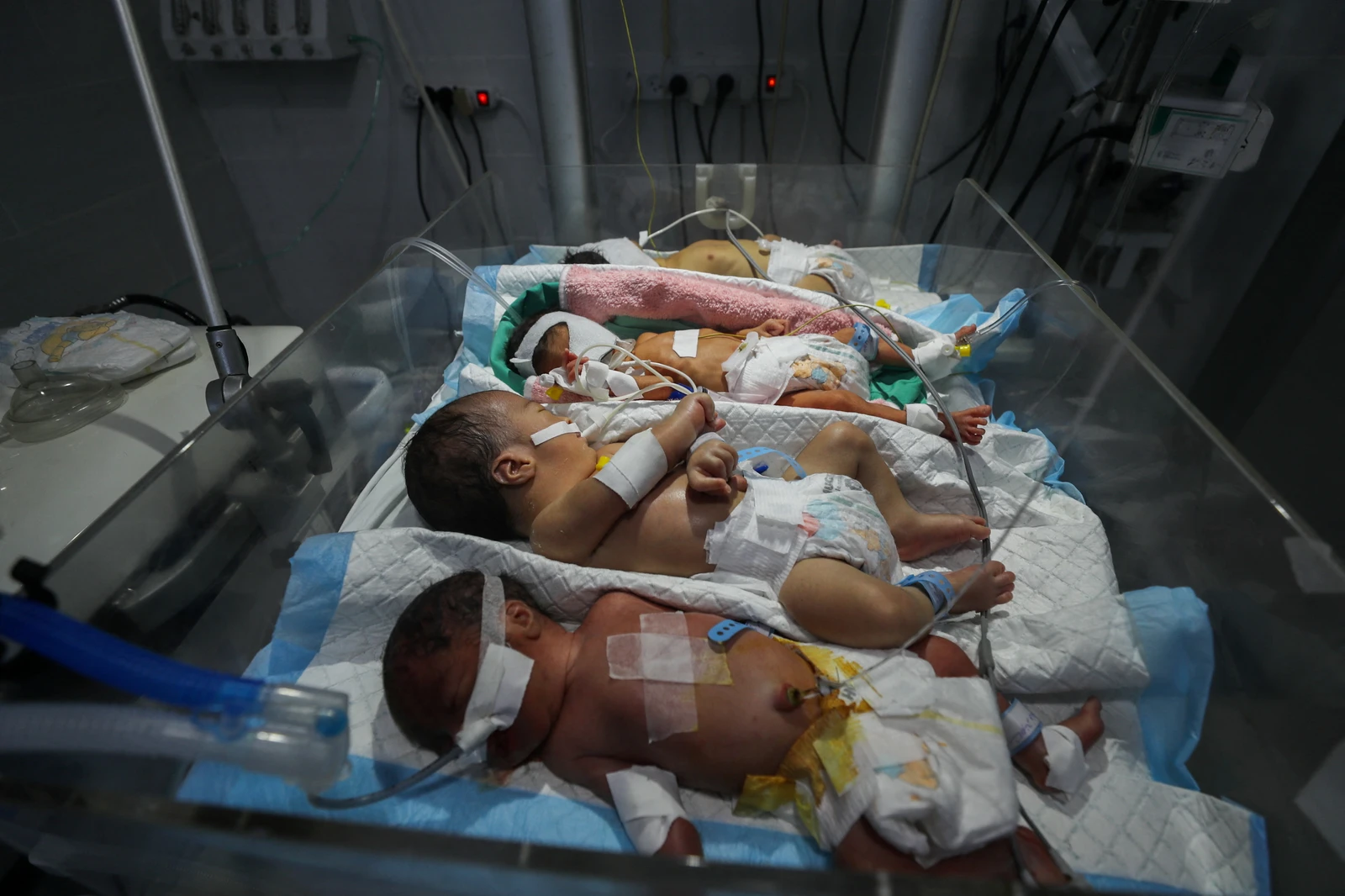 Between Aug. 26 and Sept. 2 this year, 31 Palestinians, including seven children, were reported killed and 86 injured in Gaza. (AFP file)