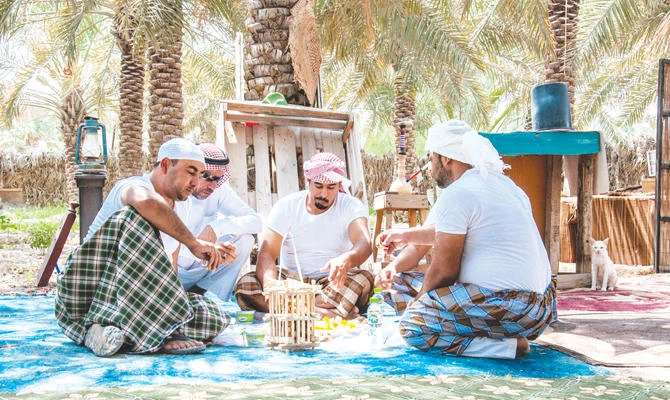 Date harvest in Al-Ahsa. (AN photo by Ziyad Alarfaj)