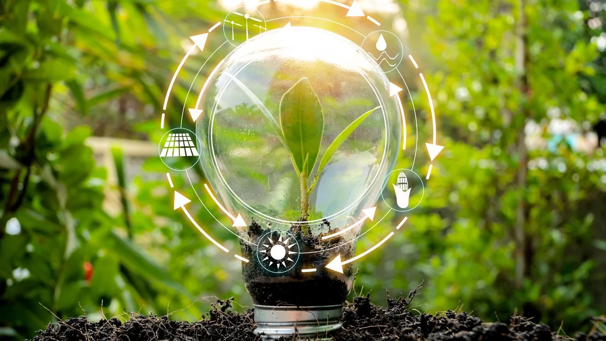 Energy efficiency is not merely a technical solution; it is a strategic tool for risk management and economic value creation. (Reuters/File)