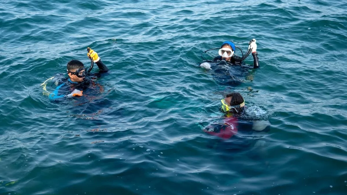 Seabed cleanup launched in Eastern Province