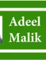 Adeel Malik