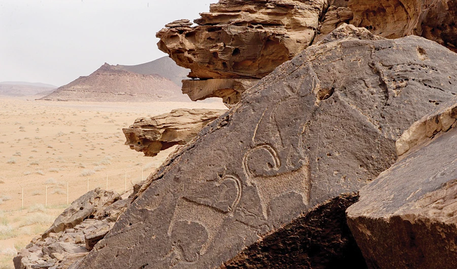 Photo/Saudi Tourism