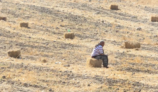 How climate shocks deepen food and water insecurity across the Arab world
