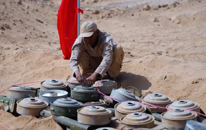 Saudi project clears 819 explosive devices in Yemen
