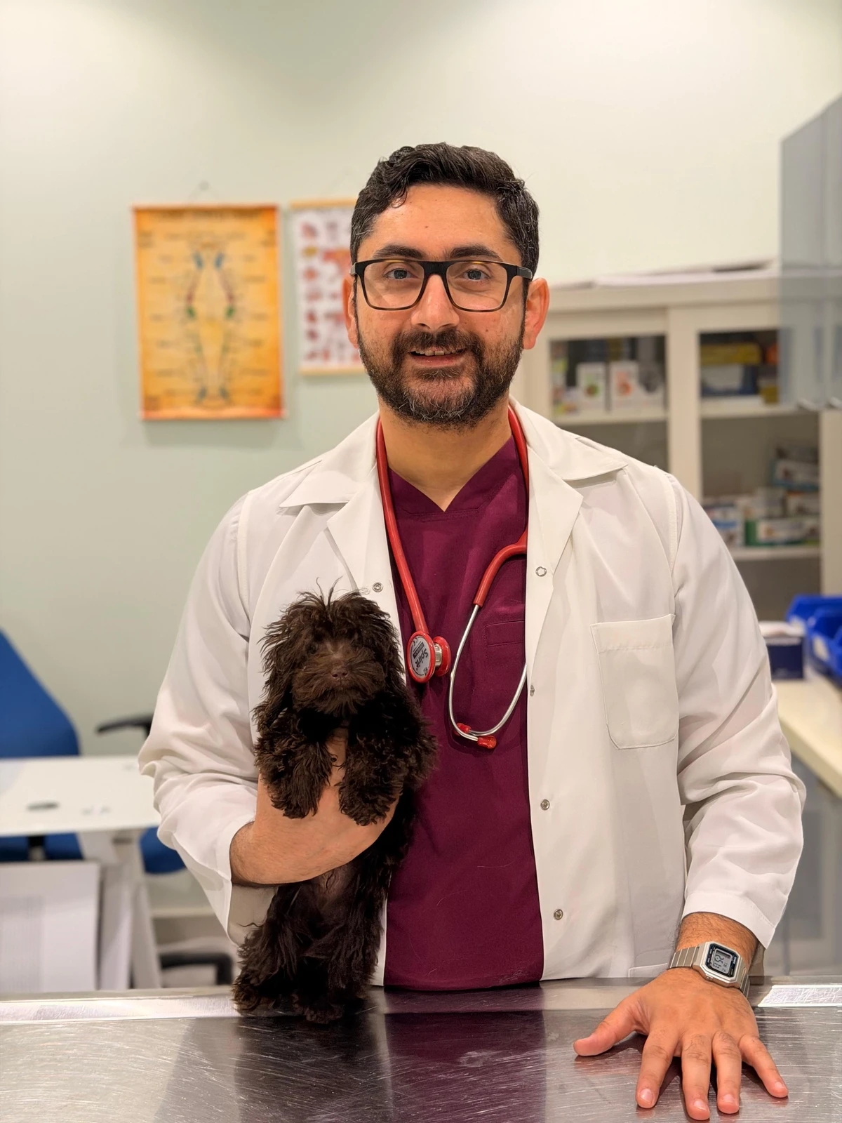 Mohamed Adel Moussa, a senior veterinary surgeon at North Paws Veterinary Center in Riyadh for over 12 years, described the impact these loud noises have on animals.