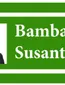 Bambang Susantono