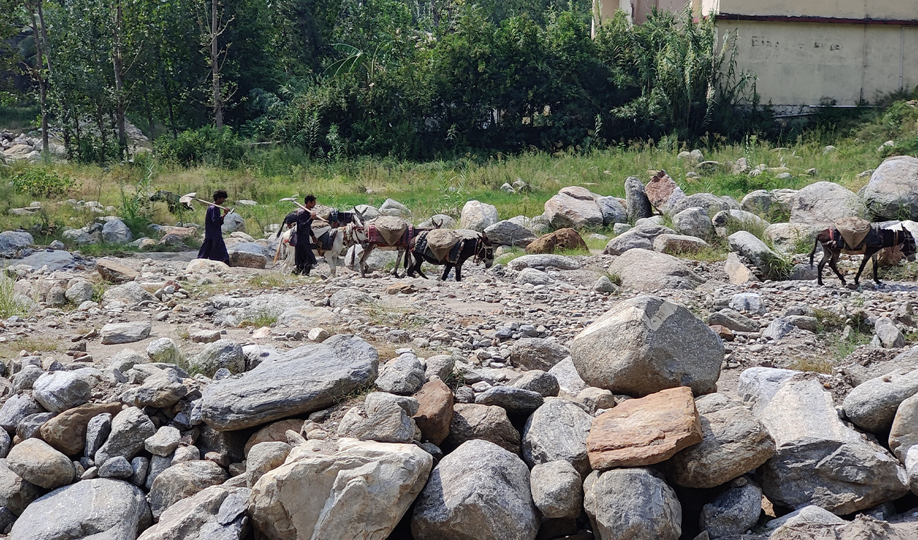 Two men walk with a line of donkeys carrying supplies through a rocky area in Buner, Khyber Pakhtunkhwa, on September 14, 2026. (AN photo)