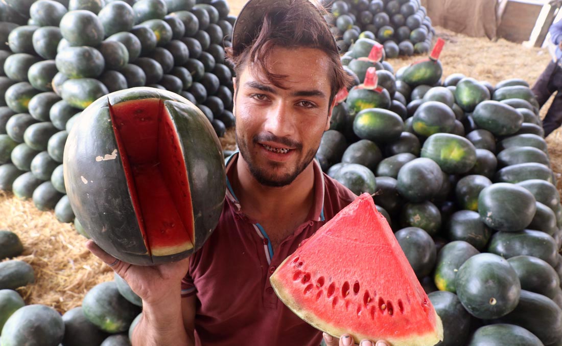 A roadside vendor in Karachi displays watermelons. (AN photo)