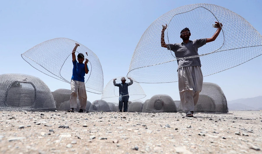 Afghani men carry cages used for fishing in the United Arab Emirates in eastern coastal town of Kalba on May 8, 2018. (AFP)