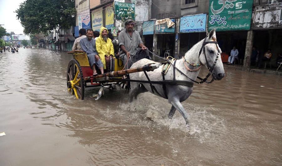 A Pakistani horse-cart owner wades through a flooded road after heavy rain fall in Lahore, Pakistan on July 3, 2018. (AP)
