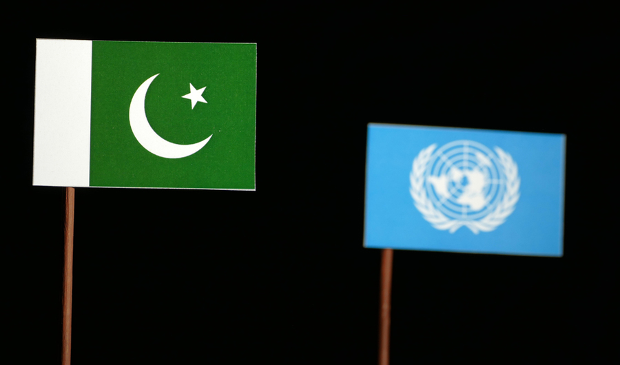 China, Russia and Pakistan lost their bid on Friday to weaken a UN resolution on campaigners. (Shutterstock)