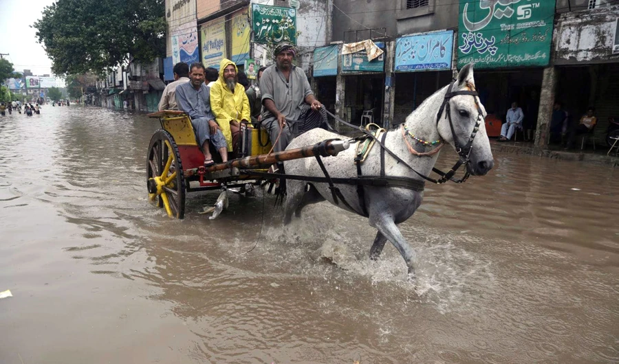 A Pakistani horse-cart owner wades through a flooded road after heavy rain fall in Lahore, Pakistan on July 3, 2018. (AP)