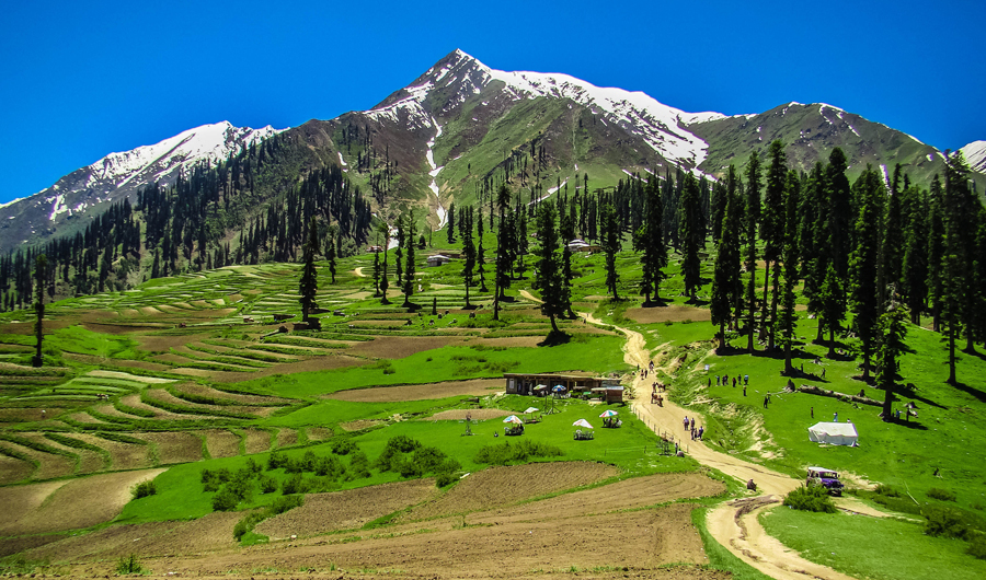 Pakistan's incoming government pledges to plant billions of trees to tackle the effects of climate change. (Shutterstock)