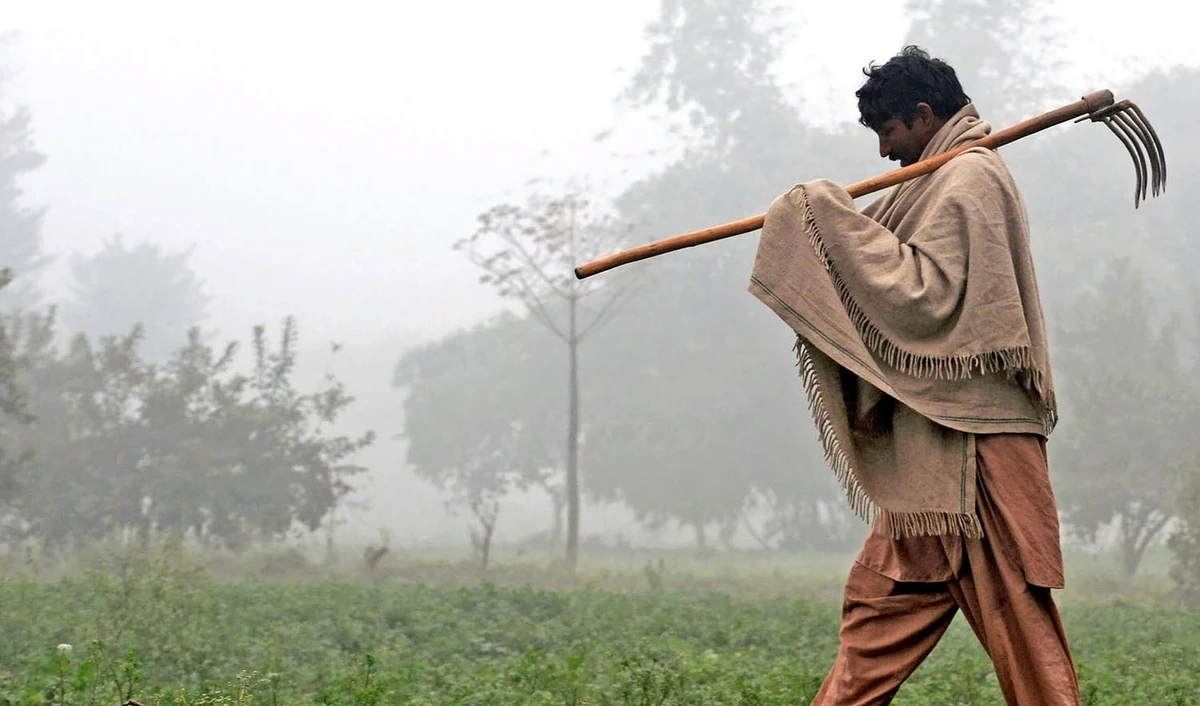 In this file photo, a Pakistani farmer arrives at his fields in dense fog in Lahore on Dec. 18, 2013. (AFP)
