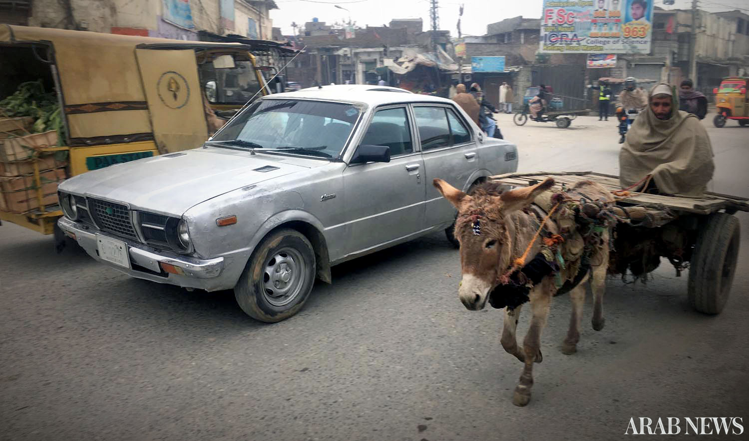 Donkey cart is less expensive and slow transportation business in the region. (AN photo)