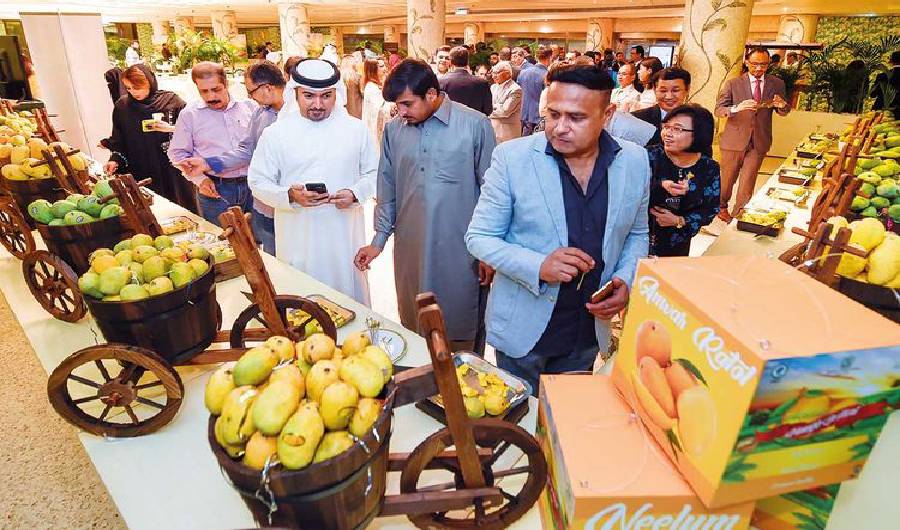 The Sindhri and Chausa are the most loved mangoes. Each variety differs in size, colour, taste and texture. (Photo Courtesy: Online)