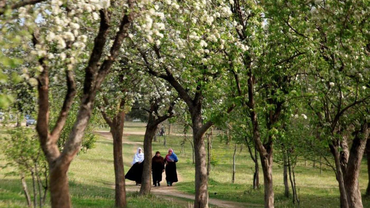Women walk along flowering and blossoming trees along a roadside in Islamabad, Pakistan, March 15, 2018. (REUTERS/File)