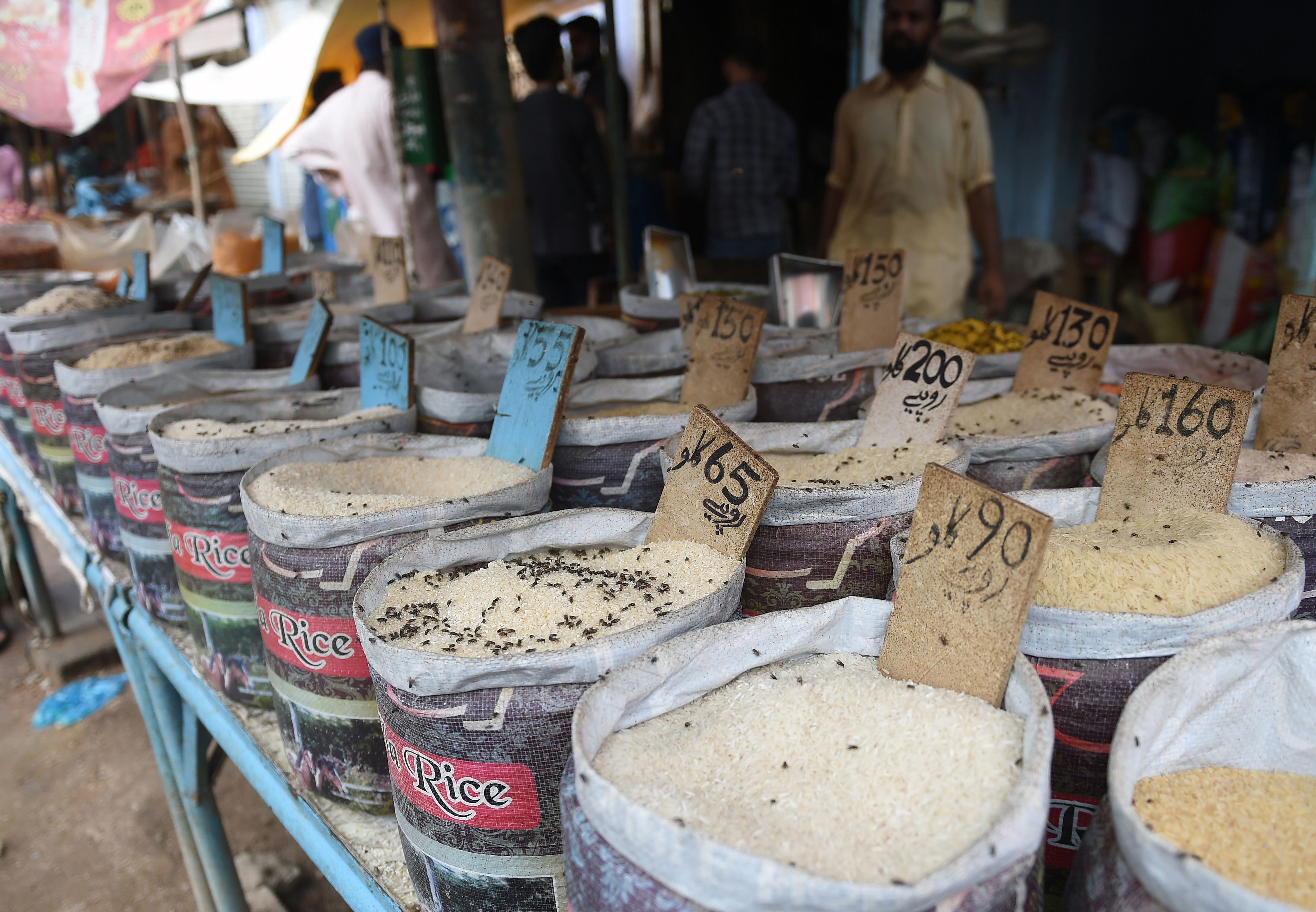 In this picture taken on August 31, 2019 flies sit on rice being sold at a market in Karachi. Swarms of flies, water-borne illnesses, and rivers of sewage have brought Pakistan's Karachi to its knees this rainy season as decades of mismanagement have turned the country’s commercial capital into a post-apocalyptic wasteland. (AFP)