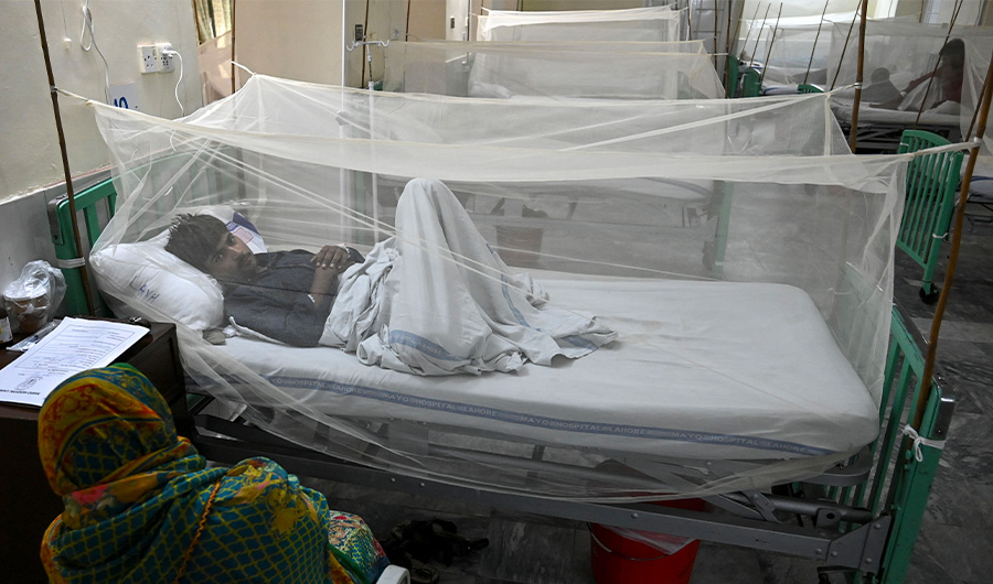 Patients suffering from dengue fever are treated as they rest on beds under nettings at a hospital in Lahore on September 18, 2019. (AFP)