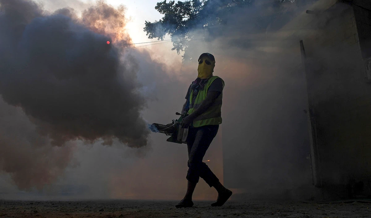 A worker fumigates to kill mosquito larvaes to fight against the spread of dengue fever at a residential area of Karachi on Sept. 20, 2019. (AFP)
