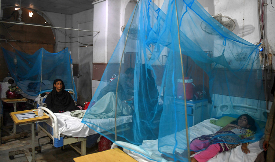 Patients suffering from dengue fever rest on beds under netting as they are being treated at a hospital in Karachi on September 19, 2019. (AFP)