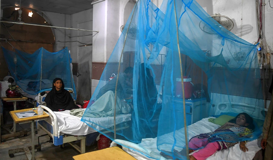 Patients suffering from dengue fever rest on beds under netting as they are being treated at a hospital in Karachi on September 19, 2019. (AFP)