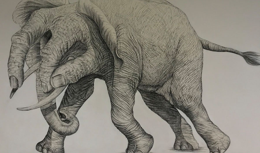 Mohsin Panjwani's work displayed at Studio Seven Gallery in Dubai. (Photo courtesy of Studio Seven Gallery Dubai)