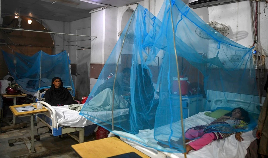Patients suffering from dengue fever rest on beds under netting as they are being treated at a hospital in Karachi on September 19, 2019. (AFP)